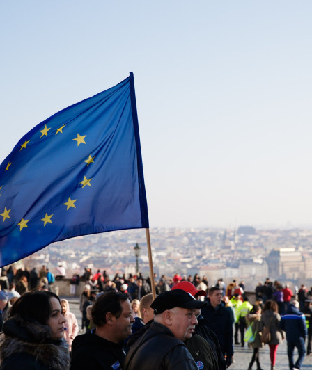 Gewählte Volter*innen in ganz Europa